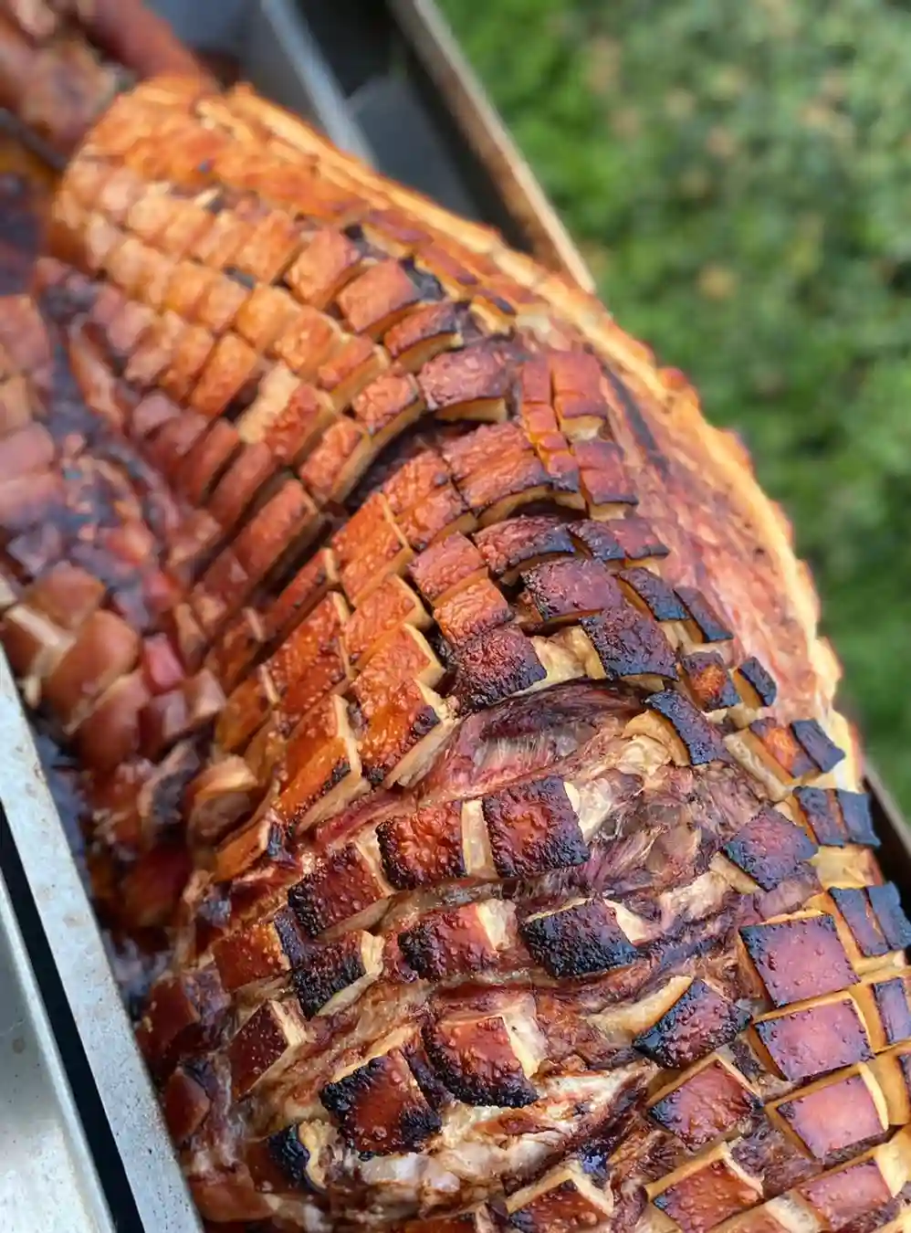Meat joint roasted on spit roast bbq