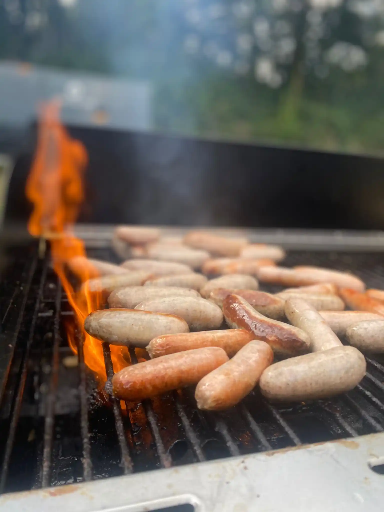 Sausages on BBQ grill starting to brown